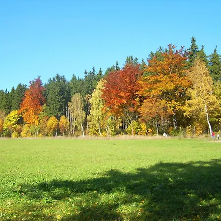 Am Wald * 奥格斯堡
